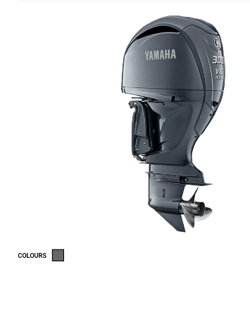 Screenshot 2024-07-01 121712 F300